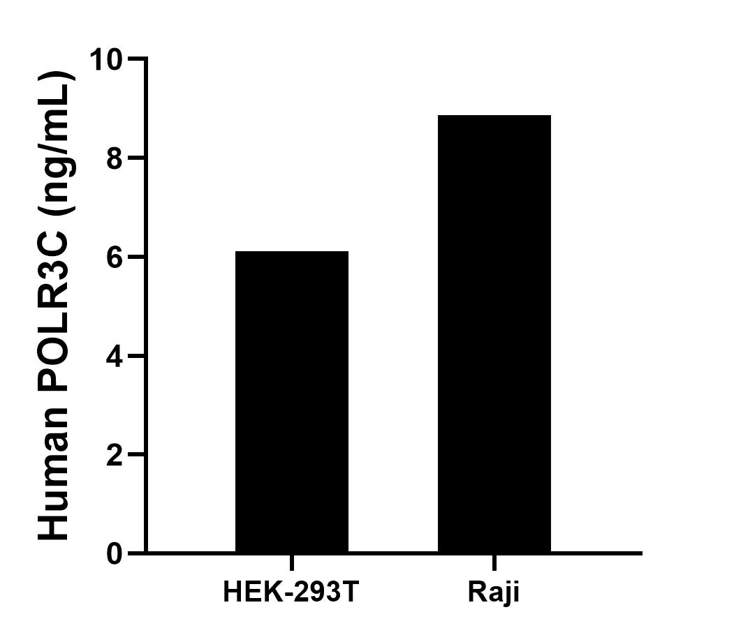 The mean POLR3C concentration was determined to be 6.1 ng/mL in HEK-293T cell extract based on a 1.4 mg/mL extract load and 8.9 ng/mL in Raji cell extract based on a 1.2 mg/mL extract load. 